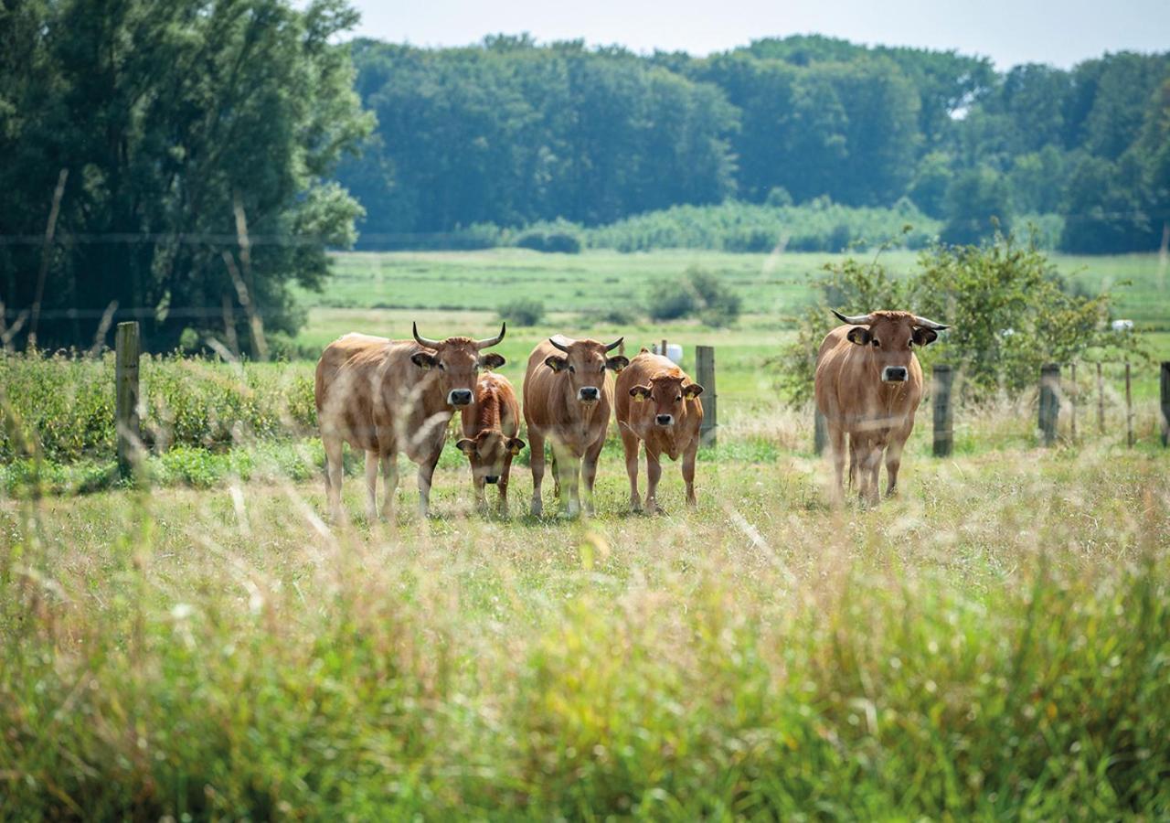 Feldgang Ein Gaestehaus! Upahl Buitenkant foto